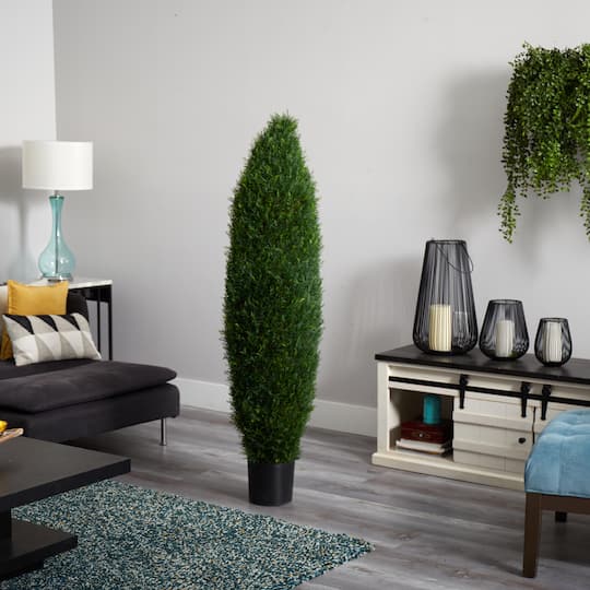 5ft. Potted Cypress Tree